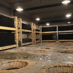 wine cellar kakheti